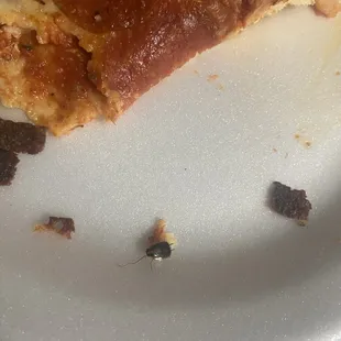 Half of roach is missing and it's stuck to the cheese for the pizza. I wanted my refund and they wouldn't give it to me.