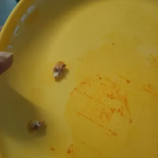 Bones from the stuffed crust pizza.