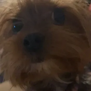 This is me when I looked at the pizza