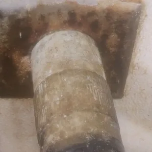 Mold and exposed electrical wire ( springfield)