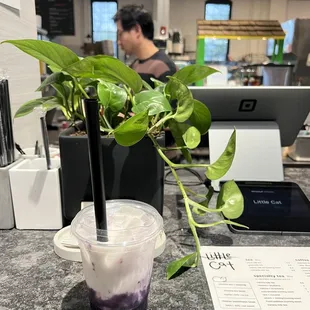 Ube coconut boba tea