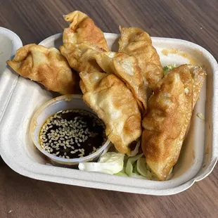 Deep Fried Pork Dumplings