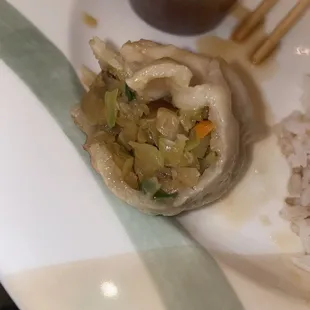 Fried Vegetable Dumplings