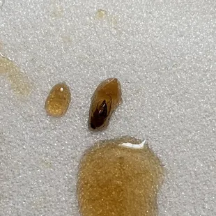 Found two roaches in my dumplings. Will not be eating here again.