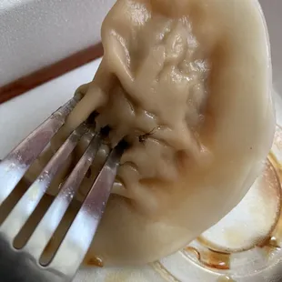 The dumpling has a roach in it.