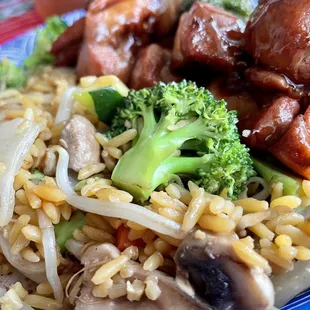 Bourbon chicken with vegetable fried rice...Bean sprouts added to the rice!