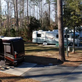 Plenty of shady RV Parking!
