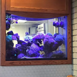 Fish tank is a nice add to a diner