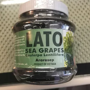 Lato Sea Grapes Available!!!! While Supplie last!!!