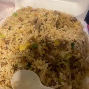 Fried Rice Combination