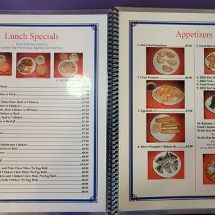 Menu: Lunch Specials &amp; Appetizers