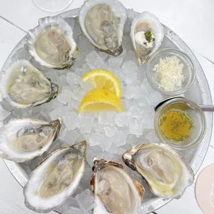 Oysters