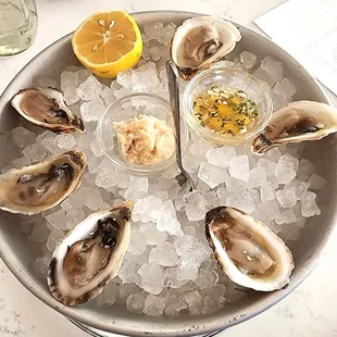 1/2 dozen Glacier Bay oysters!