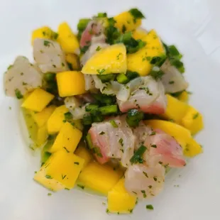 Red snapper ceviche