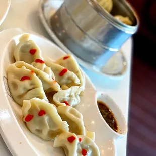Dumpling Beef Green Onion Lunch Combo