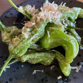 Shishito Pepper