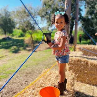Pumpkin launcher