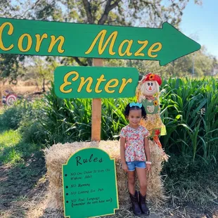 Corn Maze