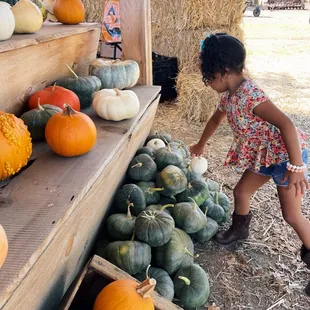 Pumpkins