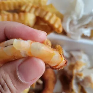 Shrimp