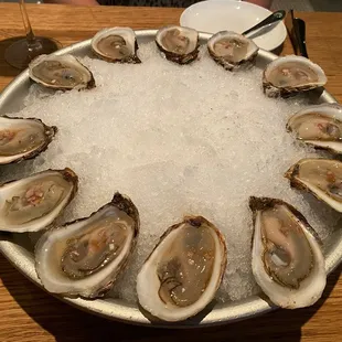 Oysters