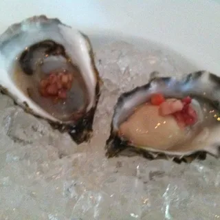 Oysters