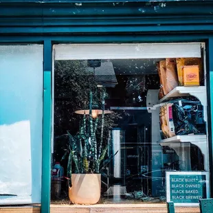a cactus in the window
