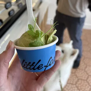 Matcha peacchu ice cream