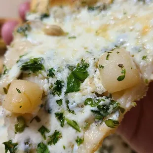 Upclose of bay scallops Pizza