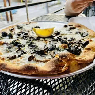 Truffles and mushrooms.. Mm!