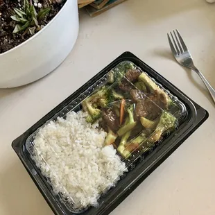 Beef with Broccoli Lunch