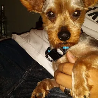 Jesse H.