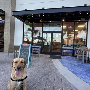 Front entrance of Little Greek Lake Buena Vista 
with Charlie welcoming guests