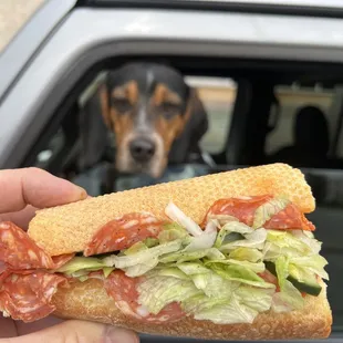 Spicy Italian and my dog Bob   He said it was the best