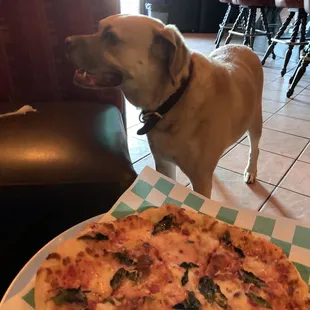 Special of the day, and my pup hates looking at the camera