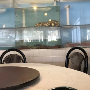 Live fish &amp; crabs in da haus!