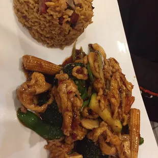 Chicken with Garlic Sauce combination...good but sauce was way too sweet