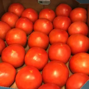 Fresh vegetables