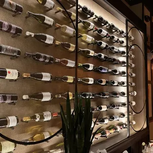 a wall of wine bottles