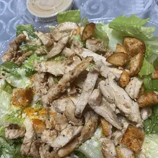 Chicken Caesar Salad