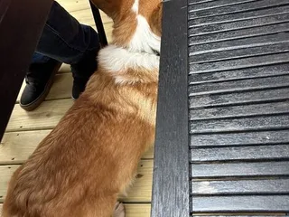 Vino Veritas Cellars Winery