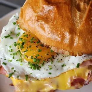 Ham &amp; Egg Breakfast Sandwich