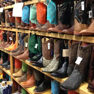 Boots of all sizes, shapes &amp; colors!