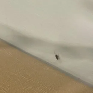 Roach, according to her it was form the outside okur