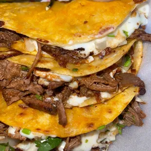 QuesaBirria Tacos