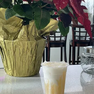 Salty cheese cream jasmin tea