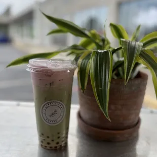 a plant and a cup of coffee
