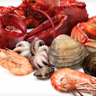 a variety of seafoods