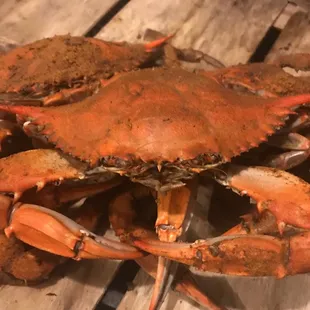Little Lou&apos;s has out done their selves once again. My crabs are always excellent from them.