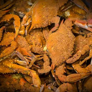 Steamed Crabs